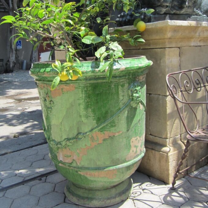 Green Anduze