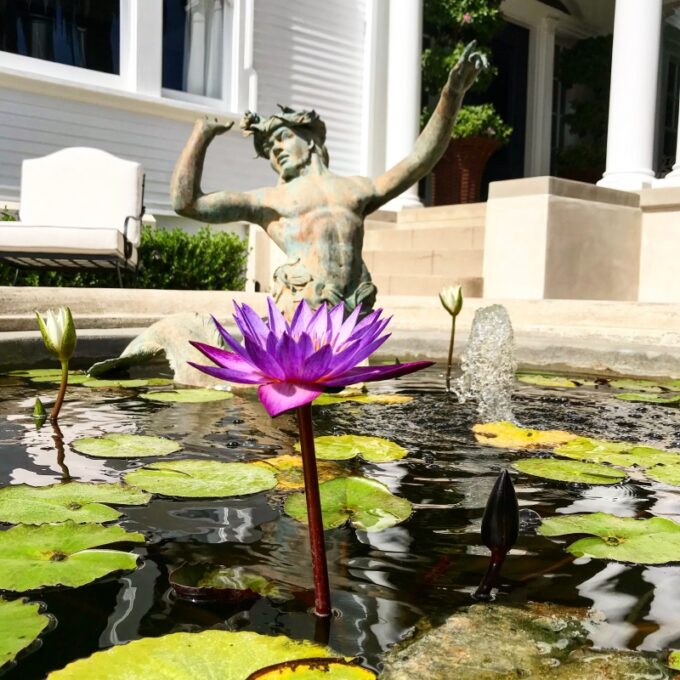 Versailles Planters Exclusive Dealer / Garden Elements and Fountains
