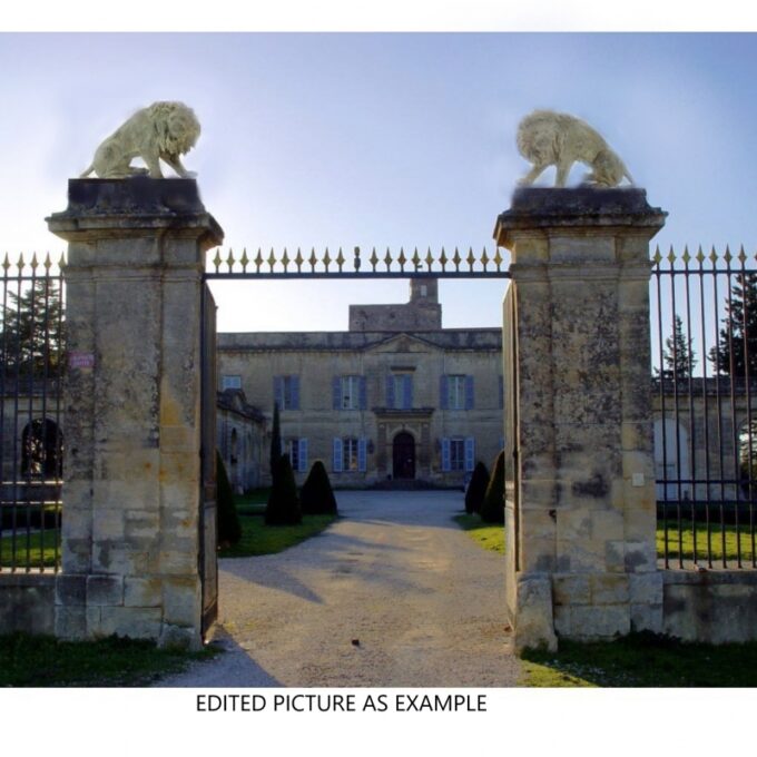 Large Pair Patinated Life size Bronze Statues Sculpture of Regal Big Cats Lions - Image 3