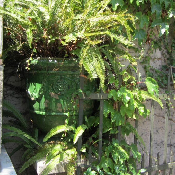 Green Anduze - Image 2